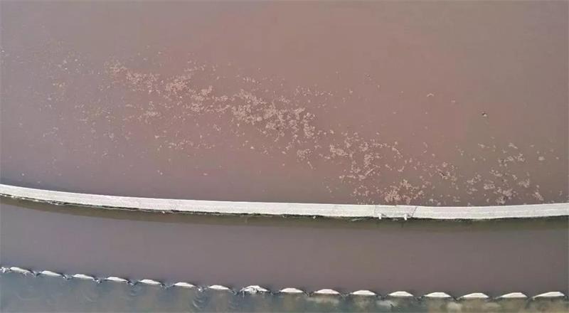 1567757934832643.jpg 8.jpg