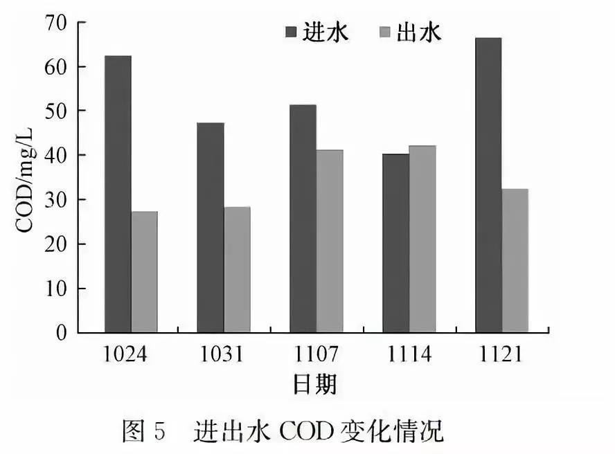 1589272115352096.jpg 5.jpg