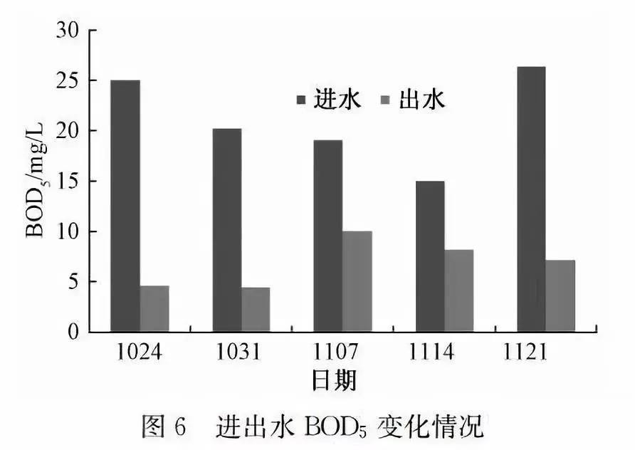 1589272176314166.jpg 6.jpg