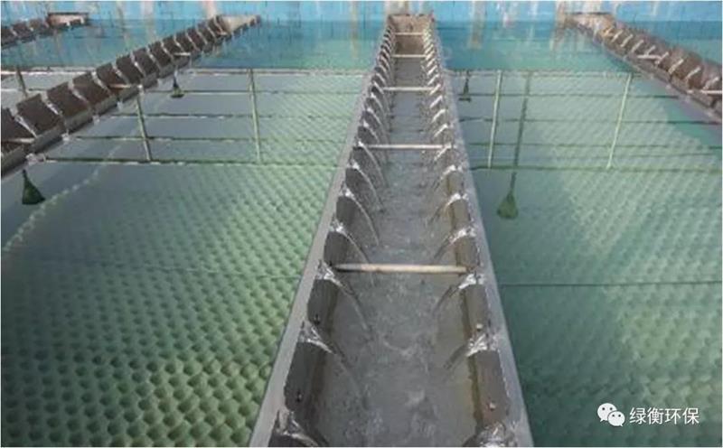 1592878756556058.jpg 3.jpg