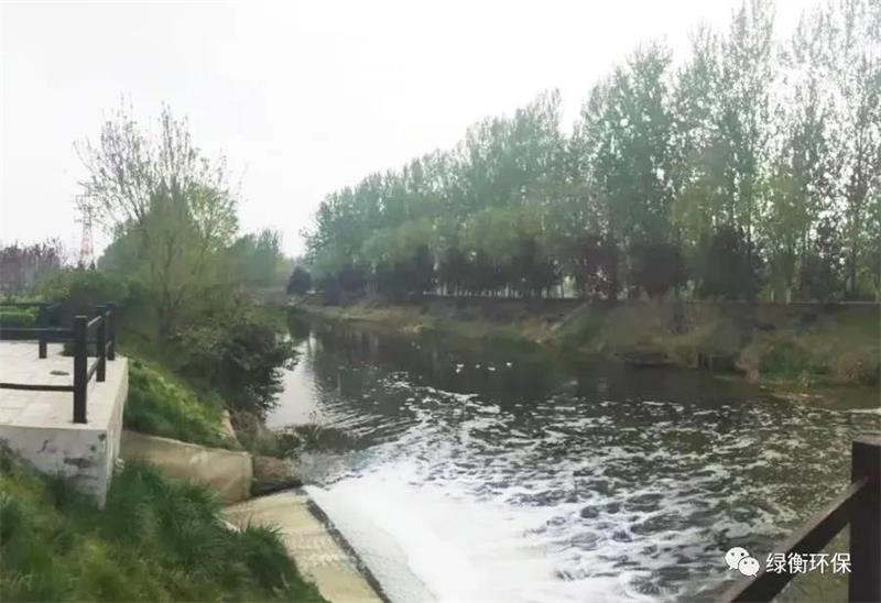 1592878775622242.jpg 4.jpg